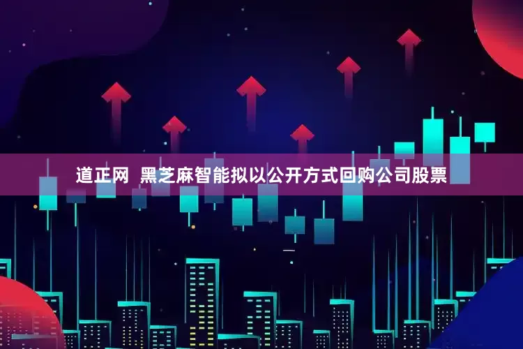 道正网  黑芝麻智能拟以公开方式回购公司股票