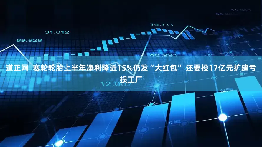 道正网  赛轮轮胎上半年净利降近15%仍发“大红包” 还要投17亿元扩建亏损工厂