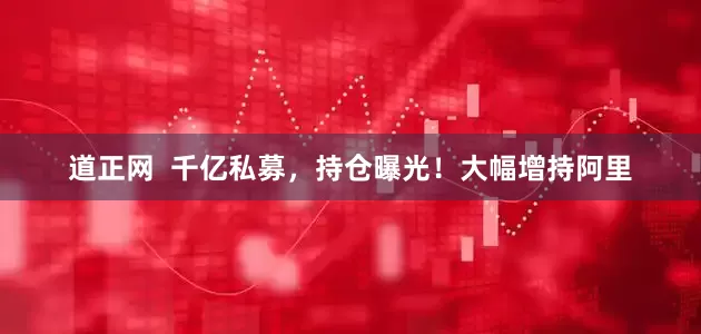 道正网  千亿私募，持仓曝光！大幅增持阿里